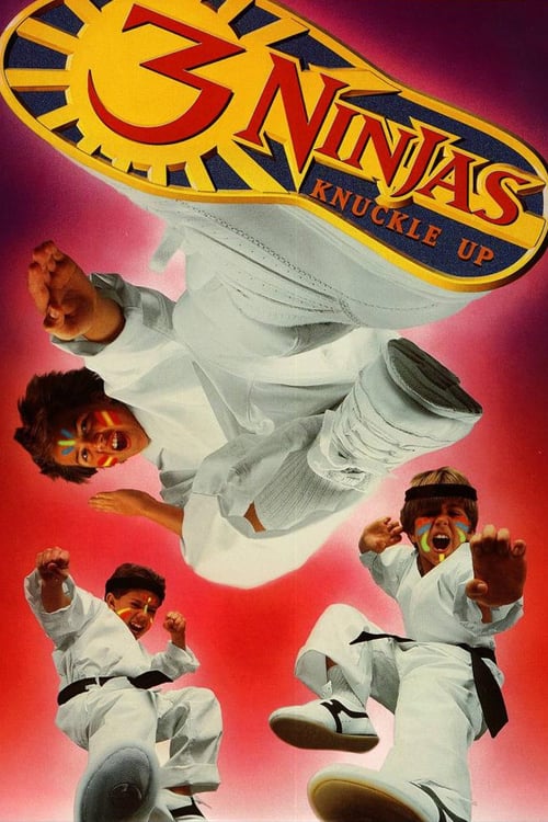 Descargar 3 Ninjas Peleones 1994 Blu Ray Latino Online