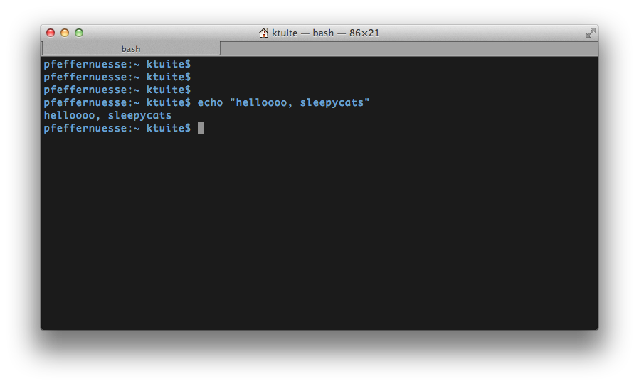 BASH line) for beginners