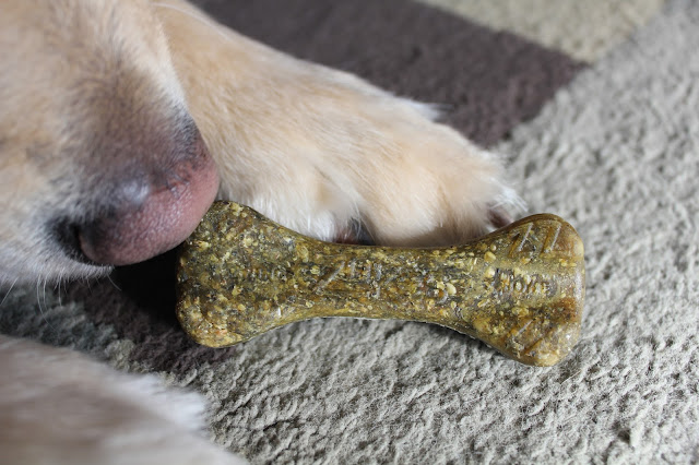 Dogs Dental Healthy with Zuke's Z-Bones Minty Dental Chew Review and Giveaway
