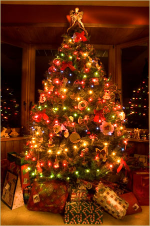 : Quando montar a Árvore de Natal e o Presépio?