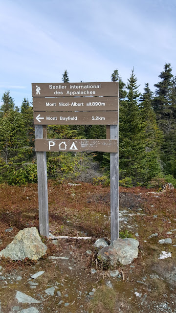 Au sommet du Nicol-Albert