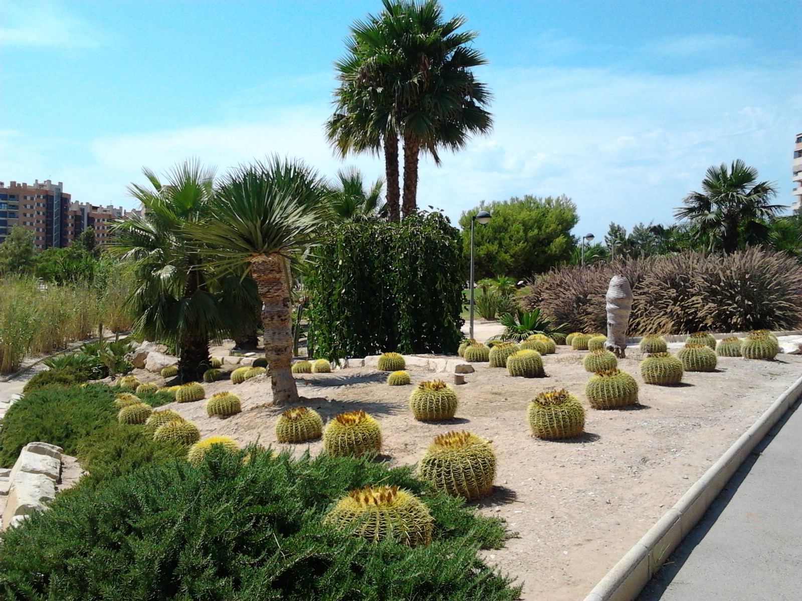 ¡ Arreando xim pam pum!: Parque Papa Juan Pablo II en Alicante