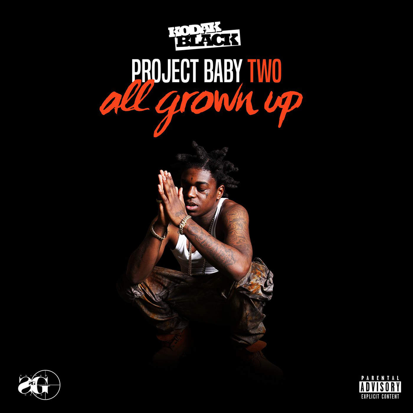 Kodak Black – Project Baby 2: All Grown Up (Deluxe) [iTunes Plus AAC M4A] | iPlusHub1400 x 1400
