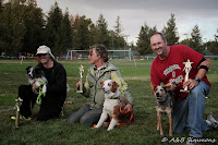 Vader's World scores third place in Disc Dog Toss and Fetch in Dixon