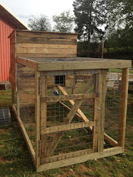 chicken backyard coop pallets chickens coops easy building plans build pen runs coup shed gallineros corral aves wood chickencoops rustic