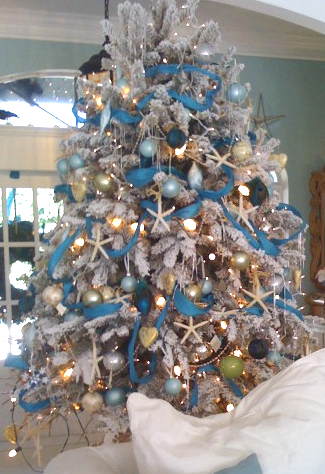 Florida Christmas tree