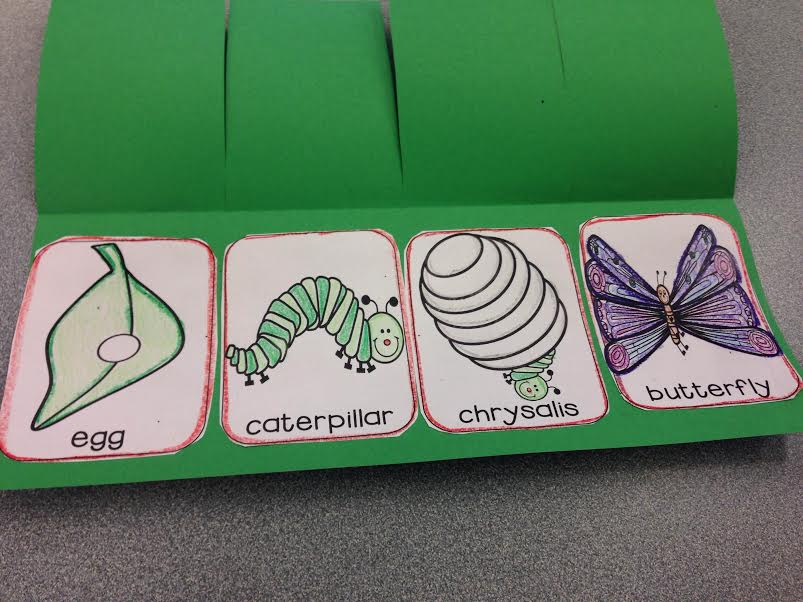 A Classroom On Cloud Nine: The Very Hungry Caterpillar {Part Two}