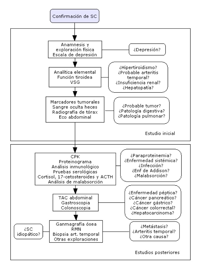 Sindrome constitucional pdf 2020