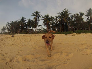 Boom-Patar-Beach-Bolina-Pangasinan-1