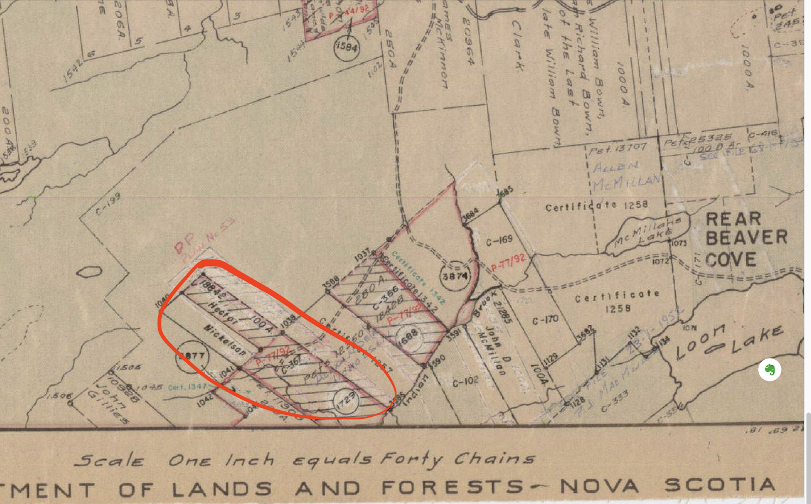 The Land of P. MacE. Nicholson