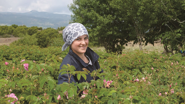 凱洛風尚 凱洛風尚