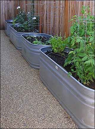 Two Men and a Little Farm: GALVANIZED WATER TANK / TROUGH VEGETABLE GARDENS