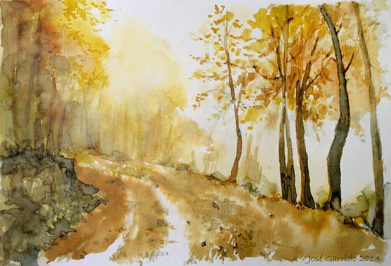 Artimañas: ÁRBOLES: Tintas, bistre, nogalina y acuarela