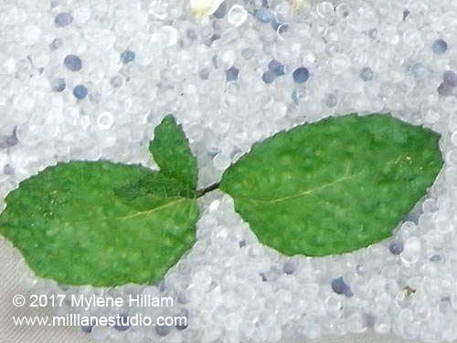 Pockmarks are left all over the leaves by large silica gel beads. Make sure you use a fine crystal or sand.