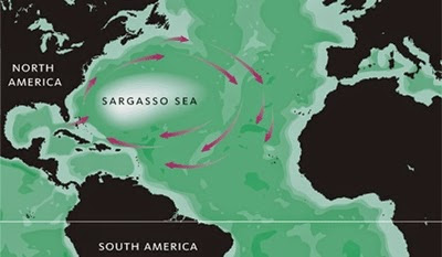 Sofä da Sala Notícias: Mistérios do Mar dos Sargaços
