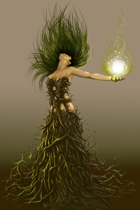 Citations Option Bonheur Citation Sur La Nature Et L Environnement