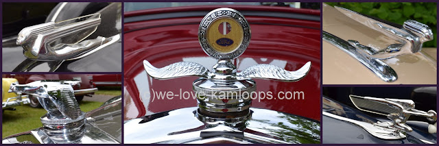 There is a variety of hood ornaments on the different vintage cars