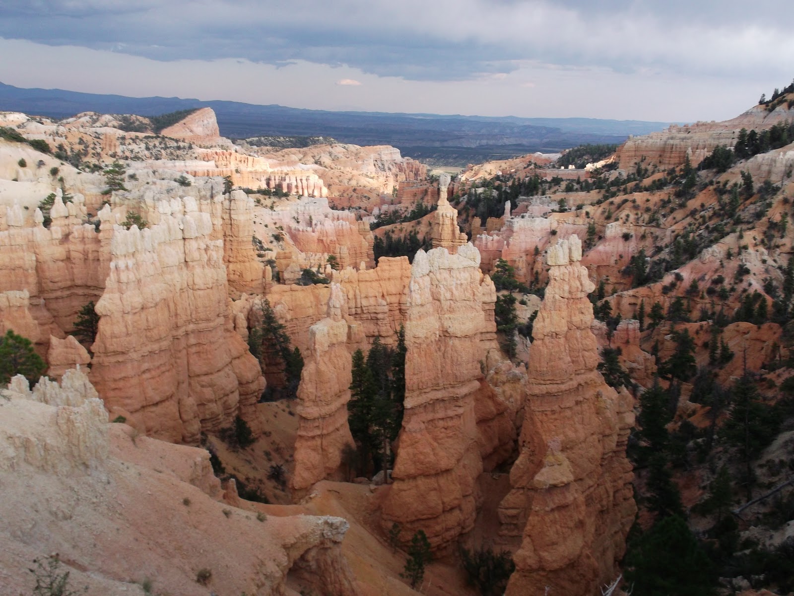 Roving Around Grand StaircaseEscalante National Park