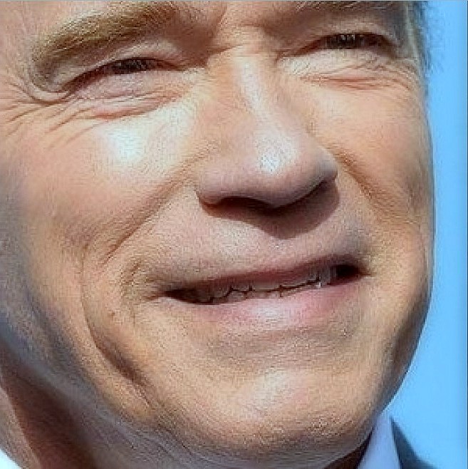Arnold Schwarzenegger hardly kicked in the back: "kill a rhinoceros-like a mosquito"