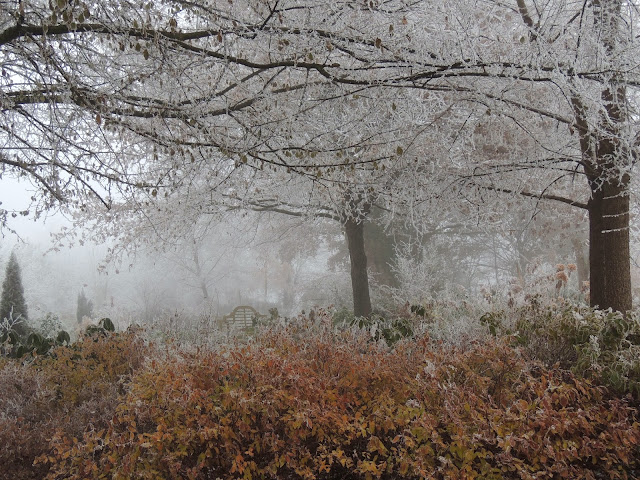 brume et gel