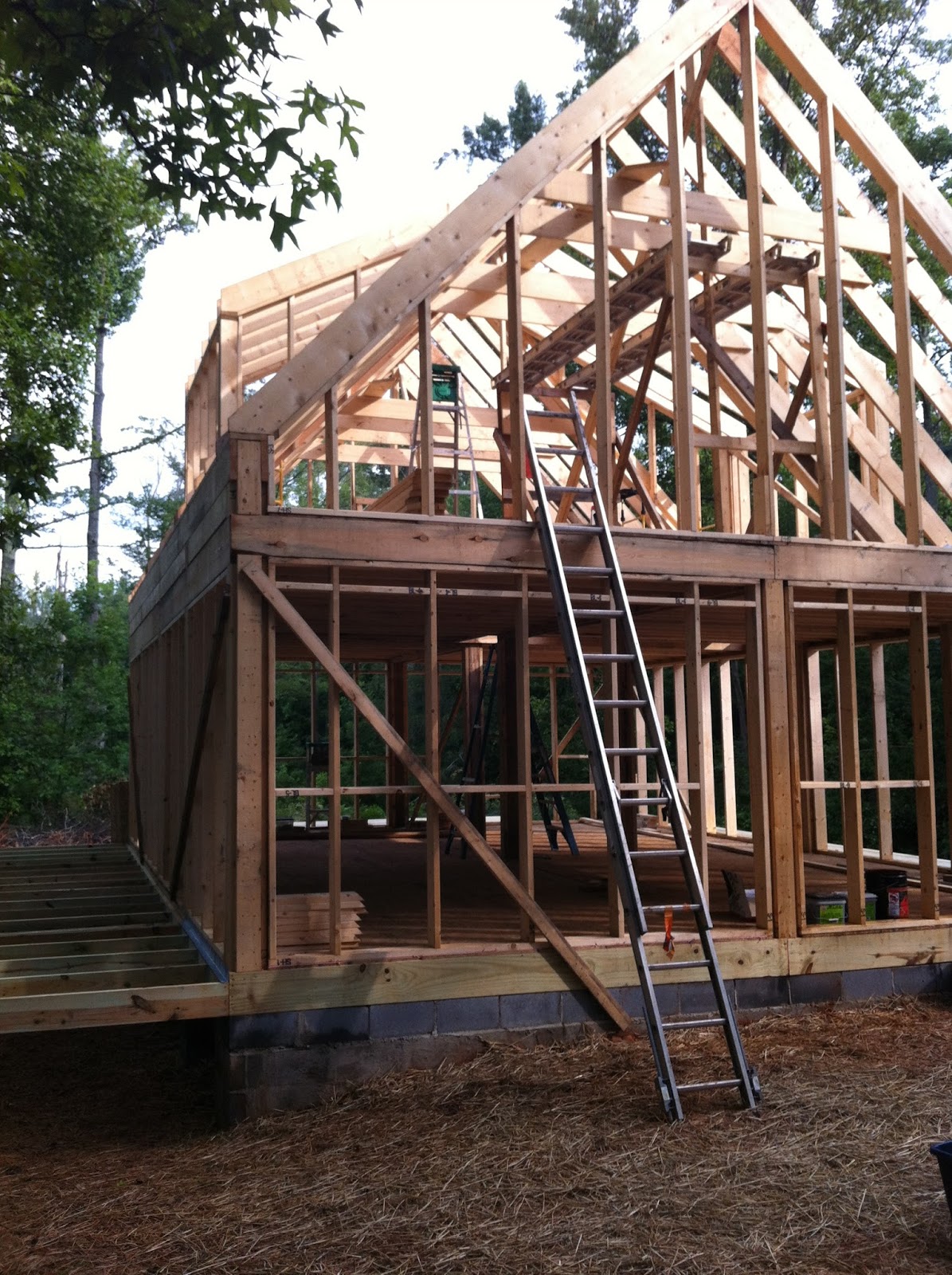 Green in Greenville More Framing