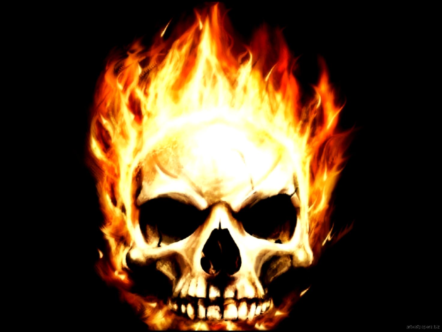 Skull Computer Desktop