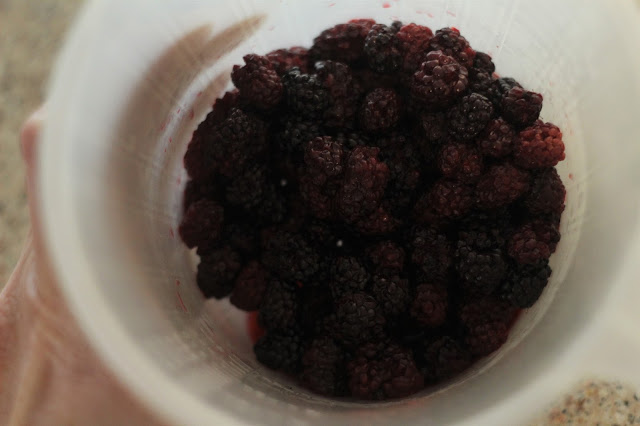 cooked blackberries for cobbler, cooked blackberries, blackberries