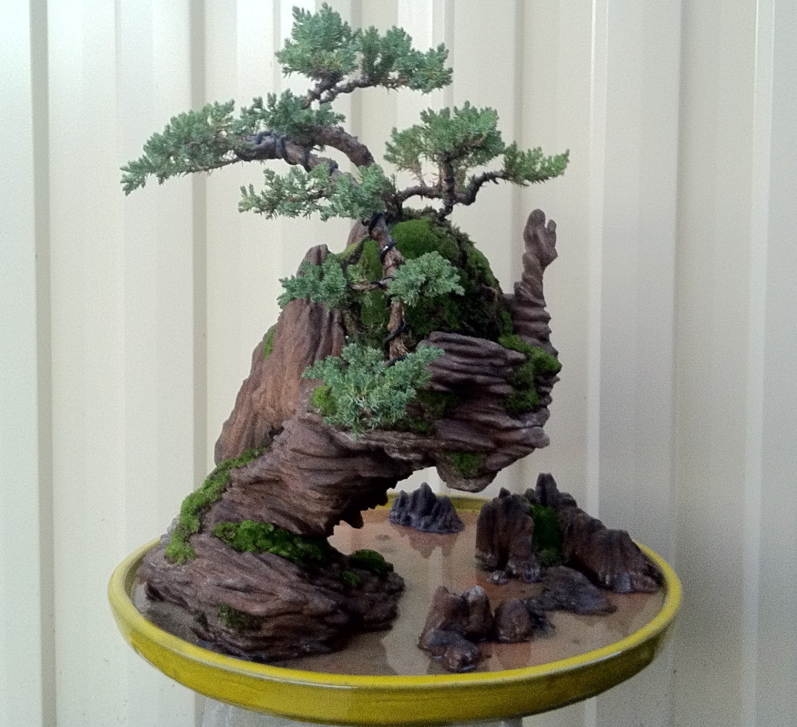 penjing Penjing Bonsai For Sale