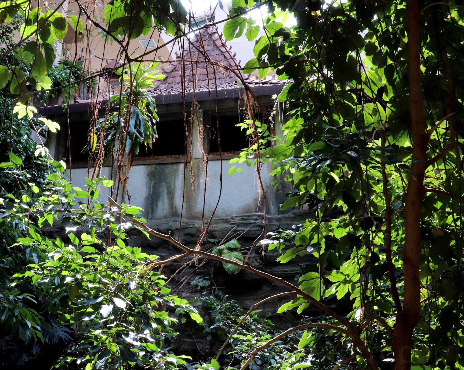 Create With Mom Bird Kingdom in Niagara Falls