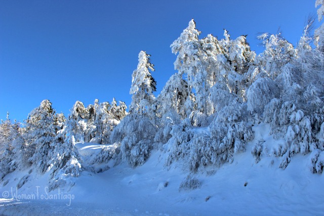 foto del camino nevado