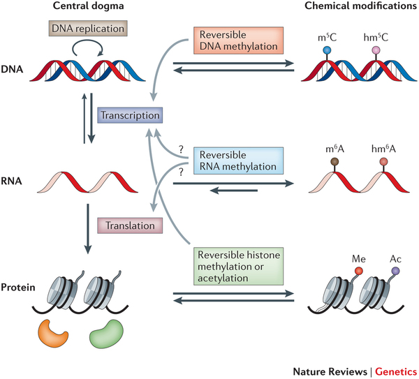 eipgenomics.jpg