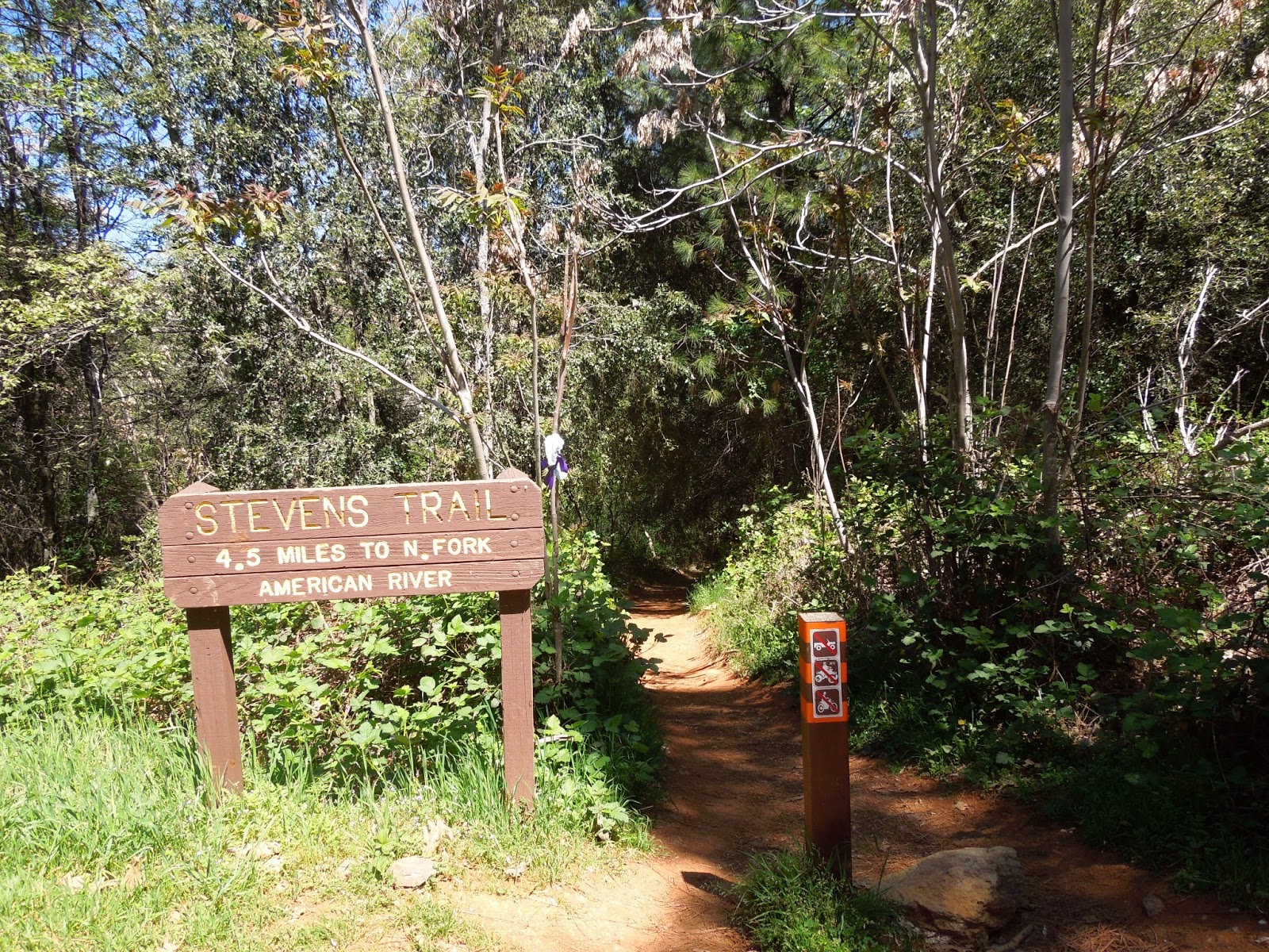 Peachy Hiker Stevens Trail in Colfax, CA