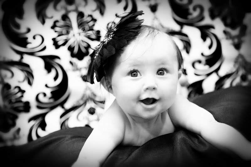 shutterbug photography az shutterbug photography az