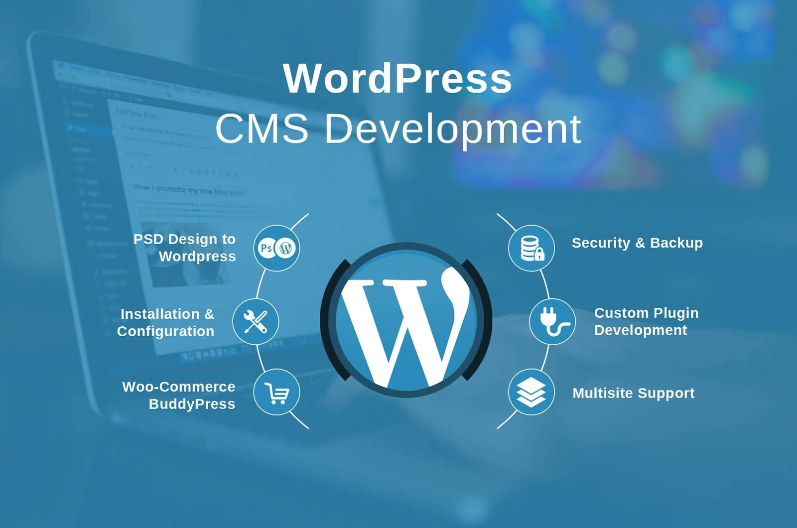 Wordpress Web Development Skenix Infotech