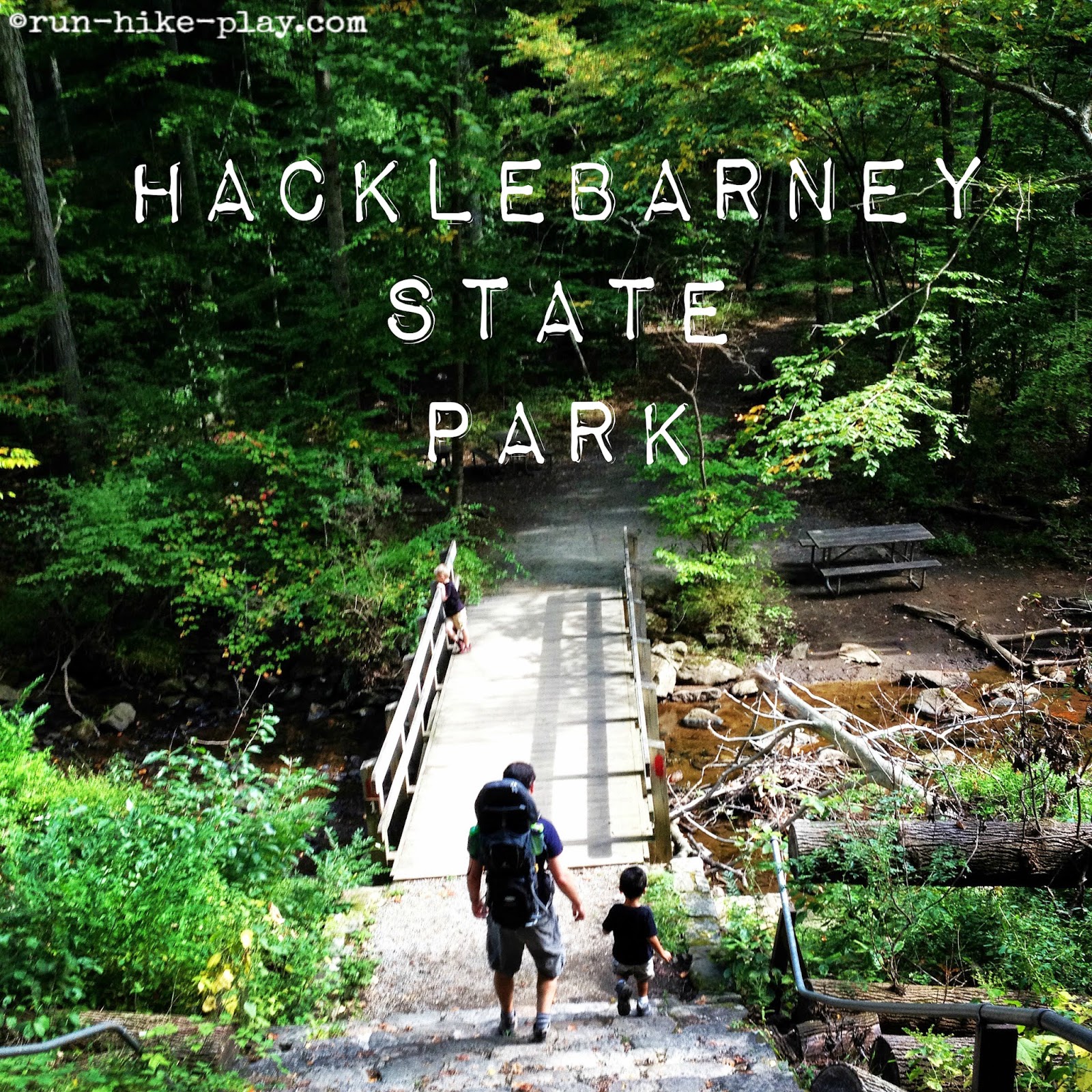 RunHikePlay Hacklebarney State Park Family Hike