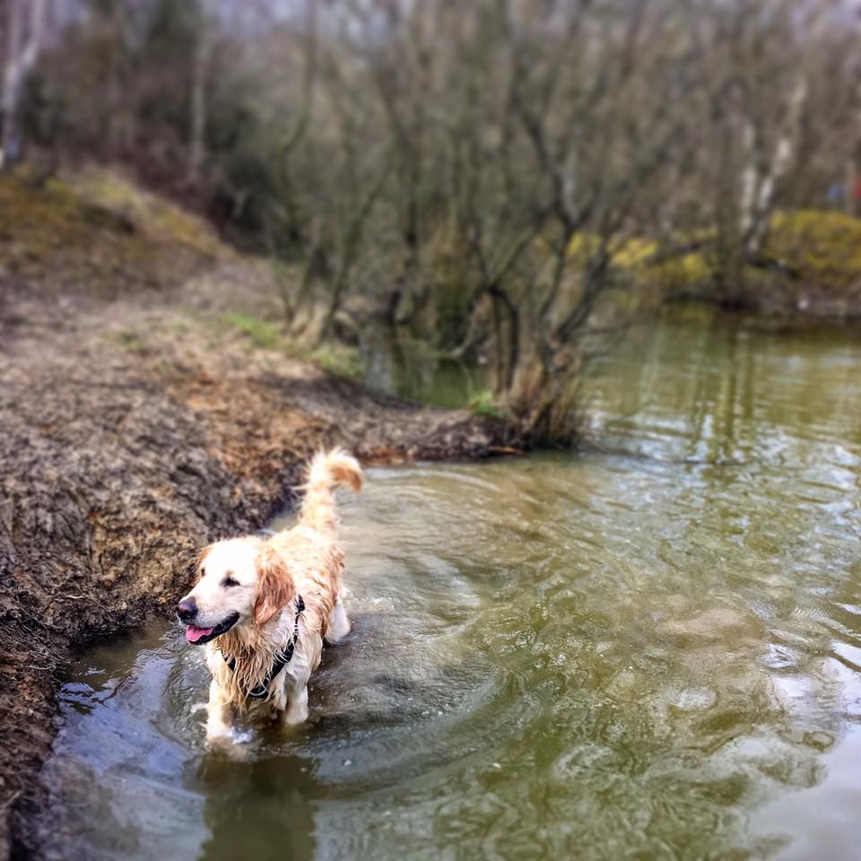 A Sunday Paddle for Polly