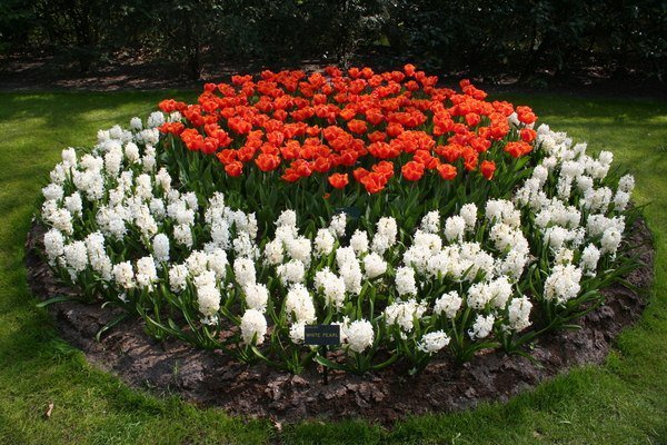 fascinating flower garden designs - Decor Units