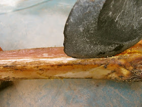 Scoring the Cannon Bone with a Stone Flake