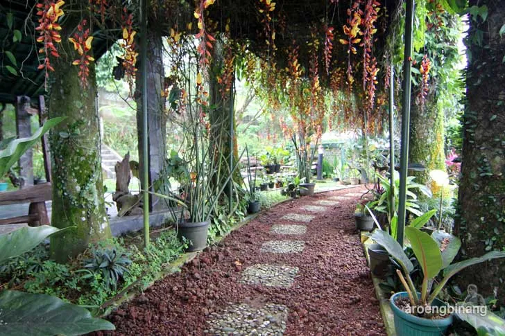 villa la lita gunung bunder