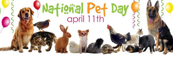 Moments of Introspection: Happy National Pet Day 2017