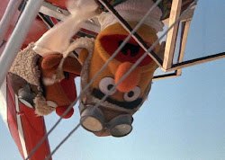 bird follow down upside muppet bert ernie wikia sesame street elmo plane mechanics wiki things 1985 biplane dawn automobile monster