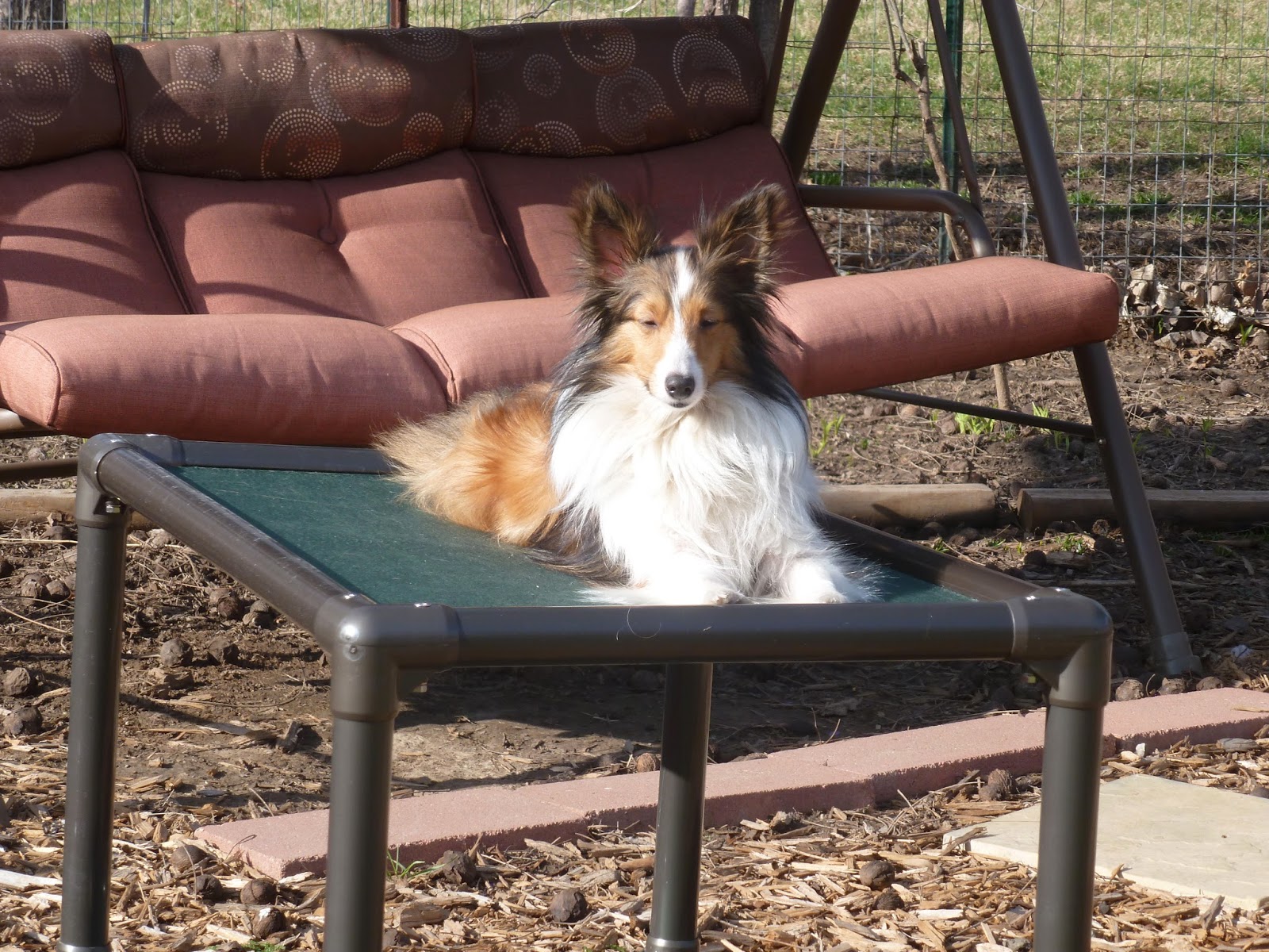 Love Kuranda Dog Beds