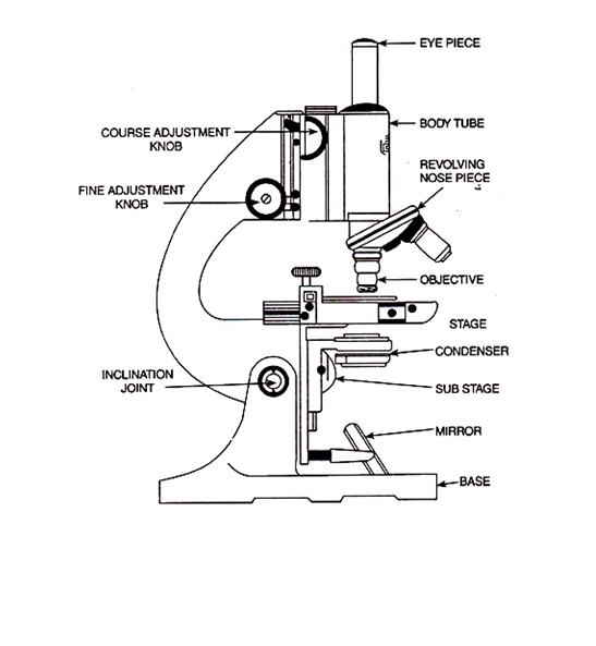 Microbiology Microscope