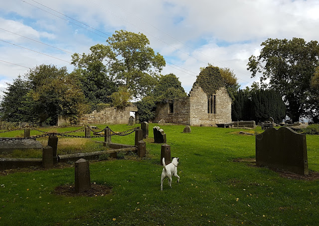 Bracken, west kirk Culross Bracken, west kirk Culross
