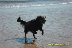 Ben loves the sea in any weather