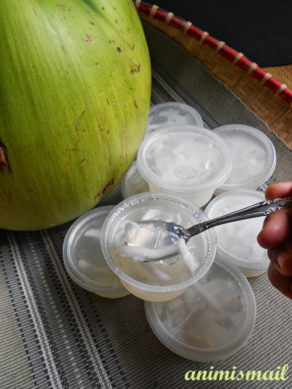 Coconut Jelly Kelapa Jelly a N i M