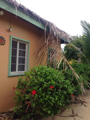 Remax Vip Belize: CBC Post Hurricane Earl