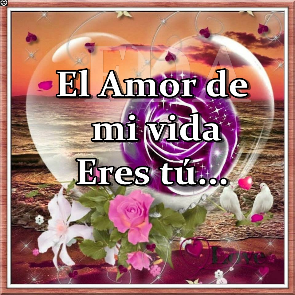 Afbeeldingsresultaat voor el amor de mi vida eres tu imagen