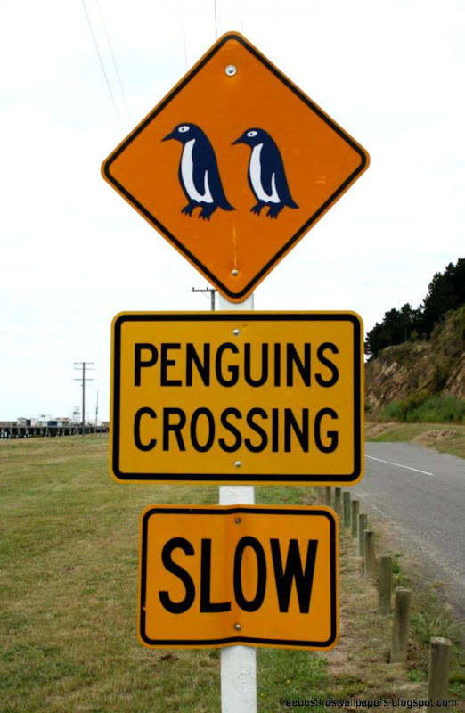 ASL Road Signs on Pinterest  Funny Road Signs Roads and Signs