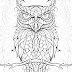 Best Adult Coloring Pages Owl Library